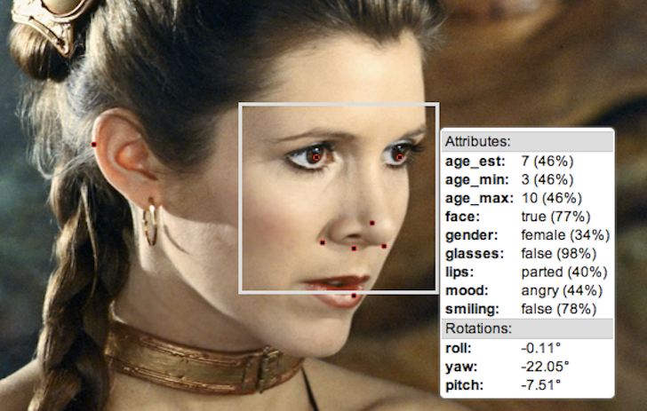 An image of Princess Leia and the data given by the Face.com API